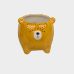 Orso